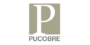 Pucobre - Mineral Forecast client